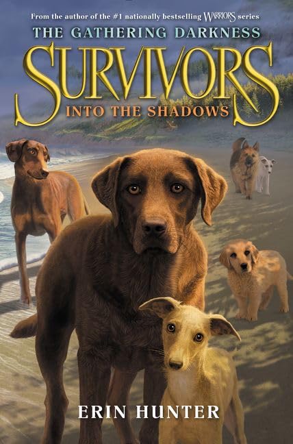 Into the Shadows book cover