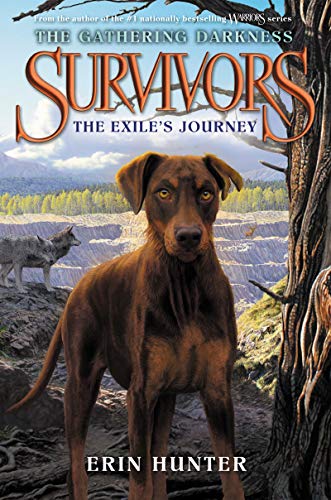 The Exile's Journey book cover
