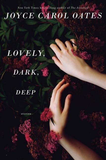 Lovely, Dark, Deep book cover