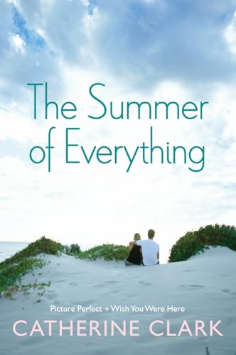 The Summer of Everything book cover