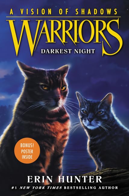Darkest Night book cover