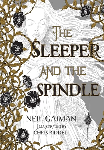 The Sleeper and the Spindle book cover