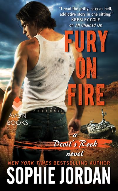 Fury on Fire book cover