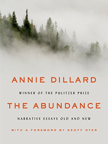 The Abundance: Narrative Essays Old and New book cover