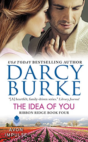 The Idea of You / Can't Stop book cover