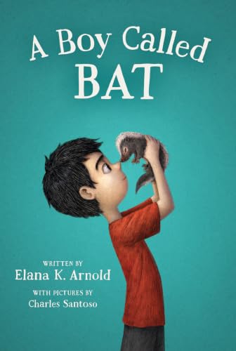 A Boy Called Bat book cover