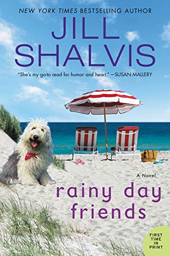Rainy Day Friends book cover