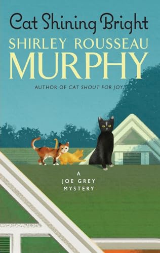 Cat Shining Bright book cover