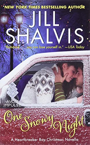 One Snowy Night book cover
