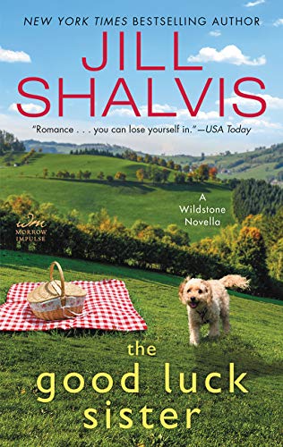 The Good Luck Sister book cover