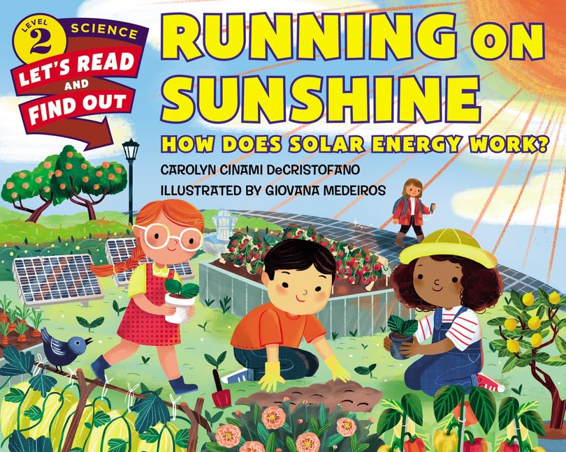 Running on Sunshine book cover