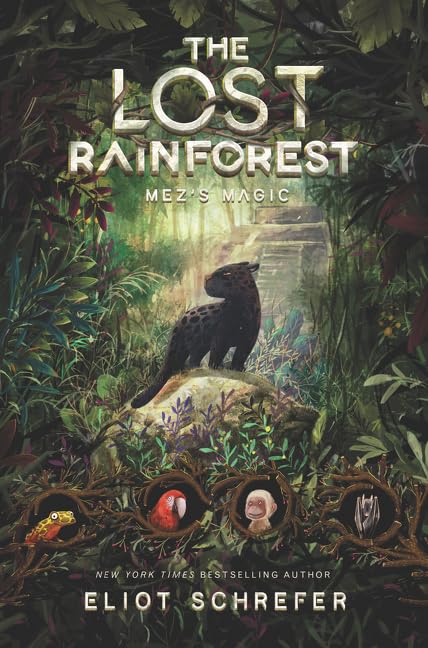 Mez's Magic book cover