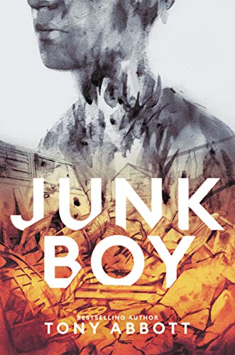 Junk Boy book cover