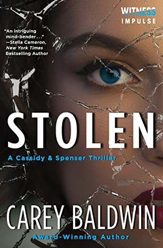 Stolen book cover