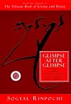 Glimpse After Glimpse: Daily Reflections on Living and Dying