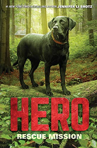 Cover of Hero