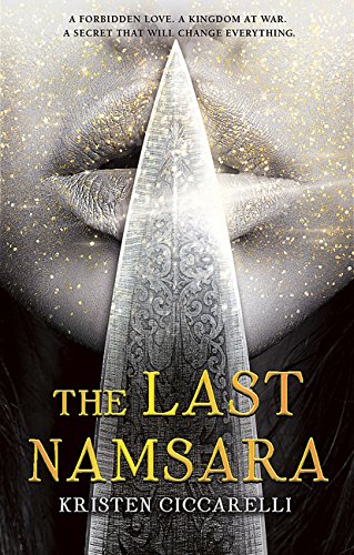 The Last Namsara book cover
