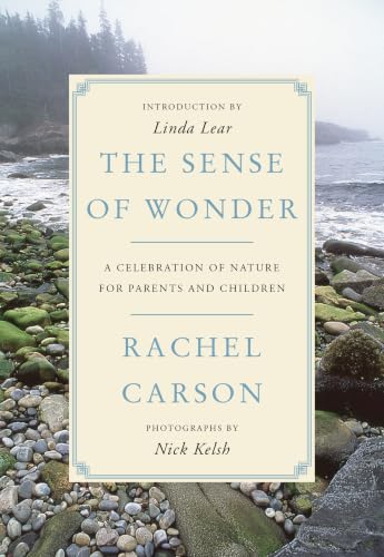 The Sense of Wonder book cover