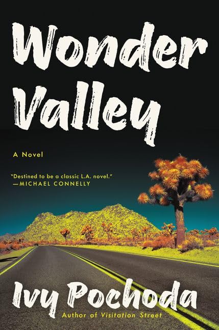 Wonder Valley book cover