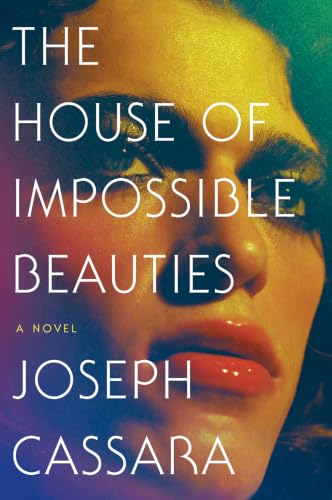 The House of Impossible Beauties book cover