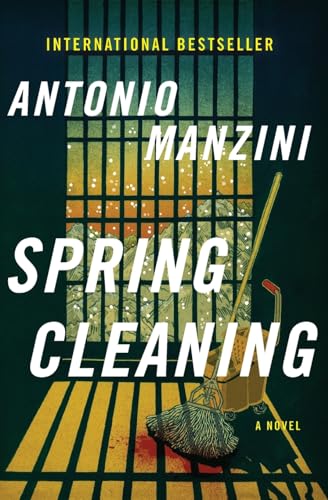Spring Cleaning book cover