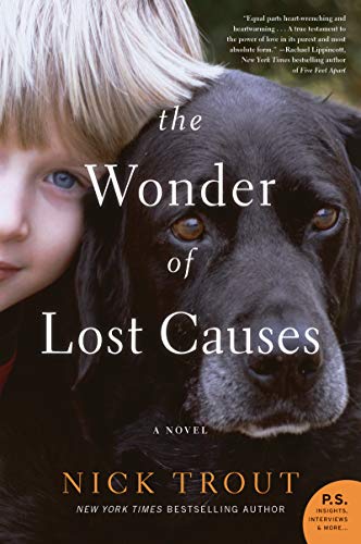 The Wonder of Lost Causes book cover