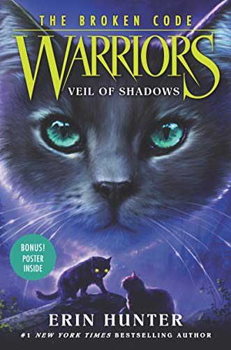 Veil of Shadows book cover