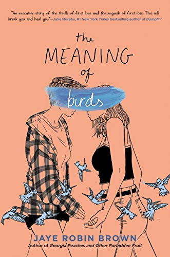 The Meaning of Birds book cover