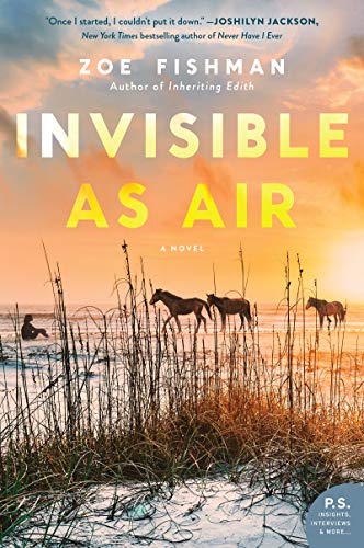 Invisible as Air book cover