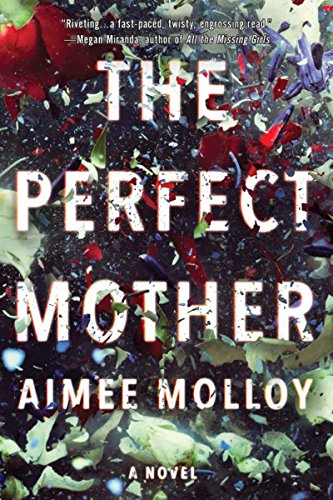 The Perfect Mother book cover