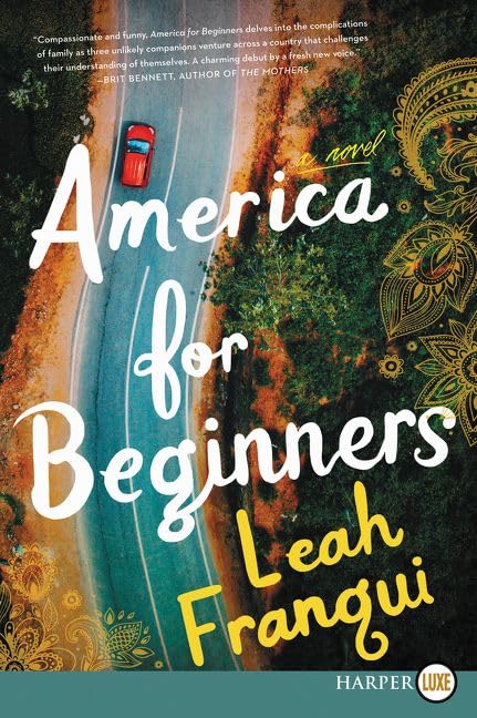 America for Beginners book cover