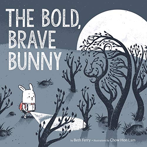 The Bold, Brave Bunny cover