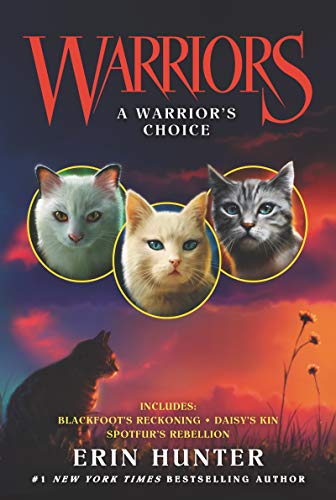 A Warrior's Choice book cover