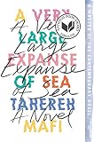 A Very Large Expanse Of Sea