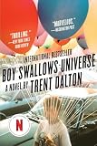 Boy Swallows Universe
