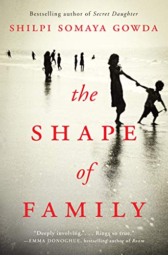 The Shape of Family book cover