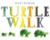 Turtle Walk