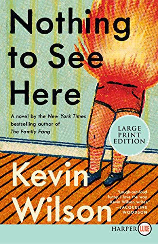 Nothing to See Here book cover