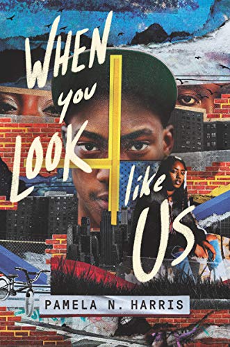 When You Look Like Us book cover