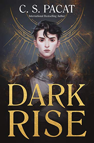 Dark Rise book cover