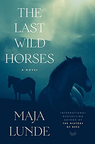 The Last Wild Horses book cover