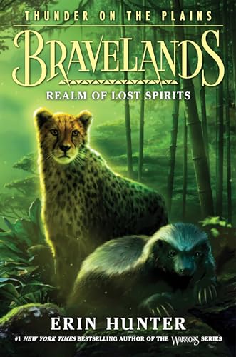 Realm of Lost Spirits book cover