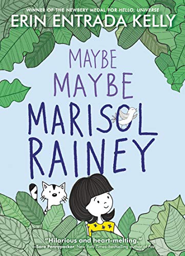 Maybe Maybe Marisol Rainey cover