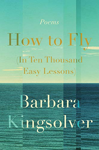 How to Fly book cover