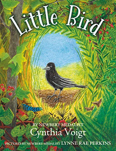 Little Bird book cover