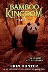Bamboo Kingdom #4: The Dark Sun