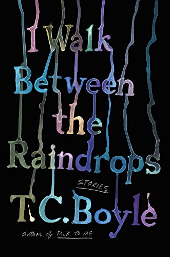 I Walk Between the Raindrops book cover