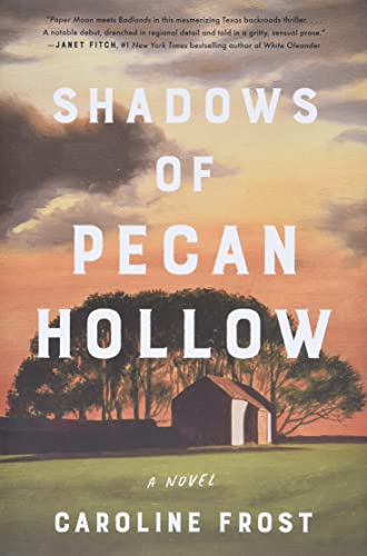 Shadows of Pecan Hollow book cover