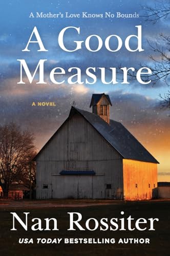 A Good Measure book cover