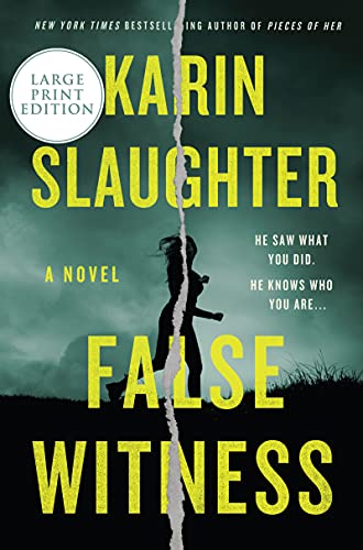 False Witness book cover